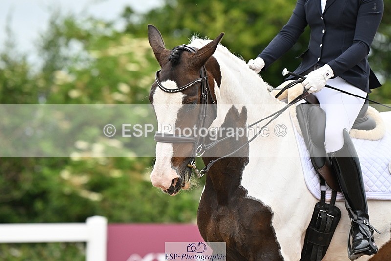 240623A-155910-19832 - Cls 54 BD Medium 73