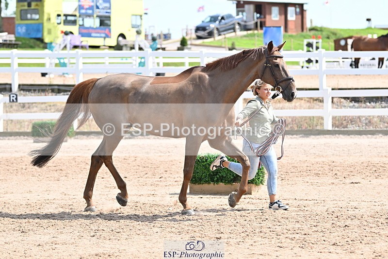 240717A-151129-02630 - Trot Up 3pm to 4pm