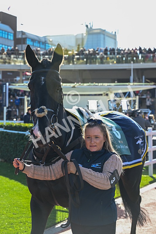 241025-Race 2-Addragoole-2292 - Race 2