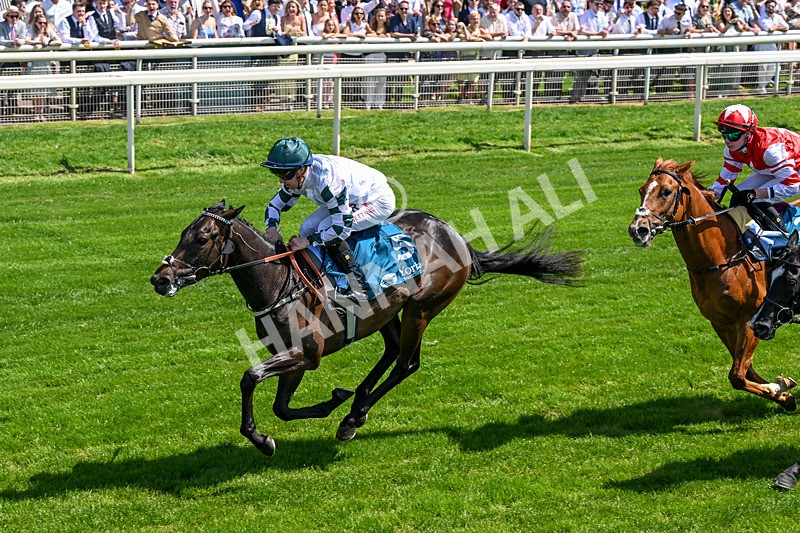 230526-Race 2-Possessive-0367 - Race 2 14.05pm Tomahawk EBF Restricted Novice Stakes