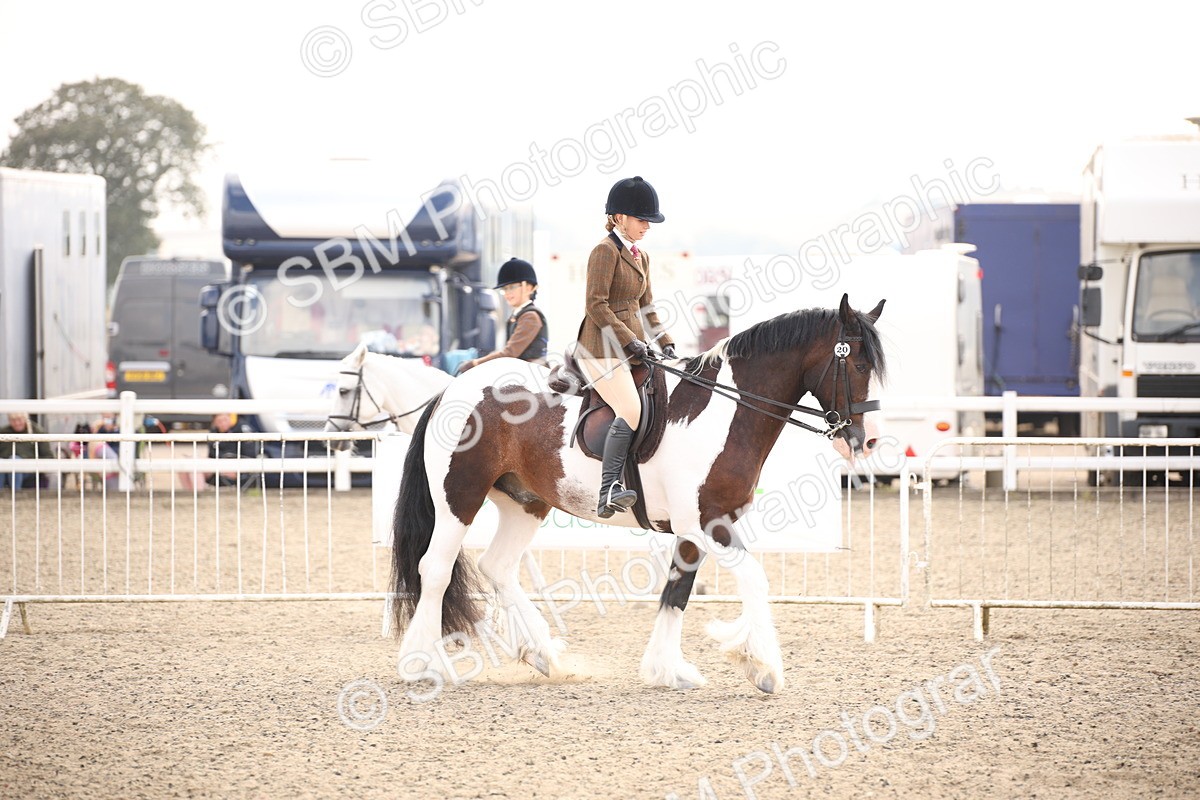 SBM_11680 - Class 404b Junior Working Veteran- 40cm(20+)