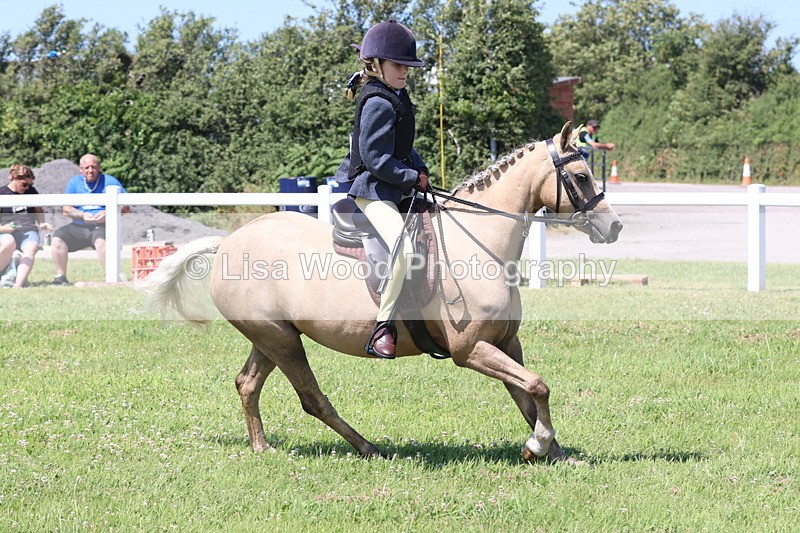 JPP_2213 - Class 20: Tiny Tots Working Hunter Pony