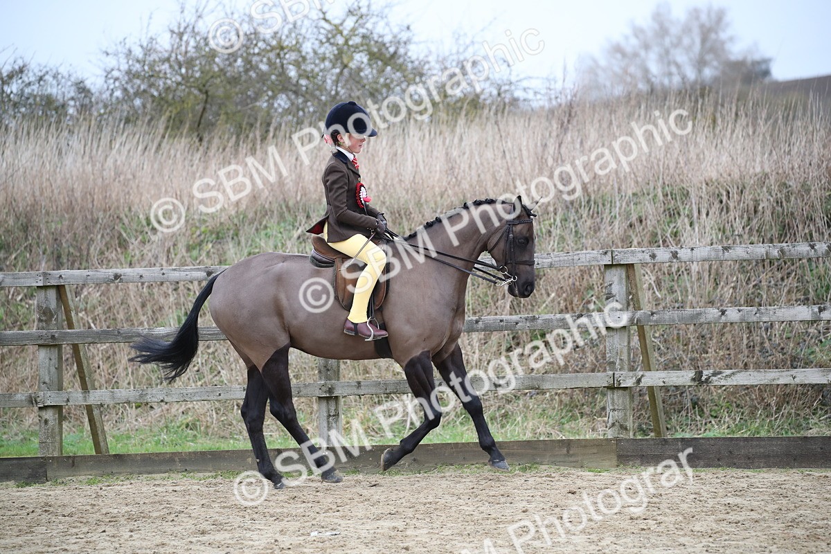 SBM_004689 - Class 5-9 - NPS In Hand-Show Hunter-Intermediate Ridden Inc Ridden Championship