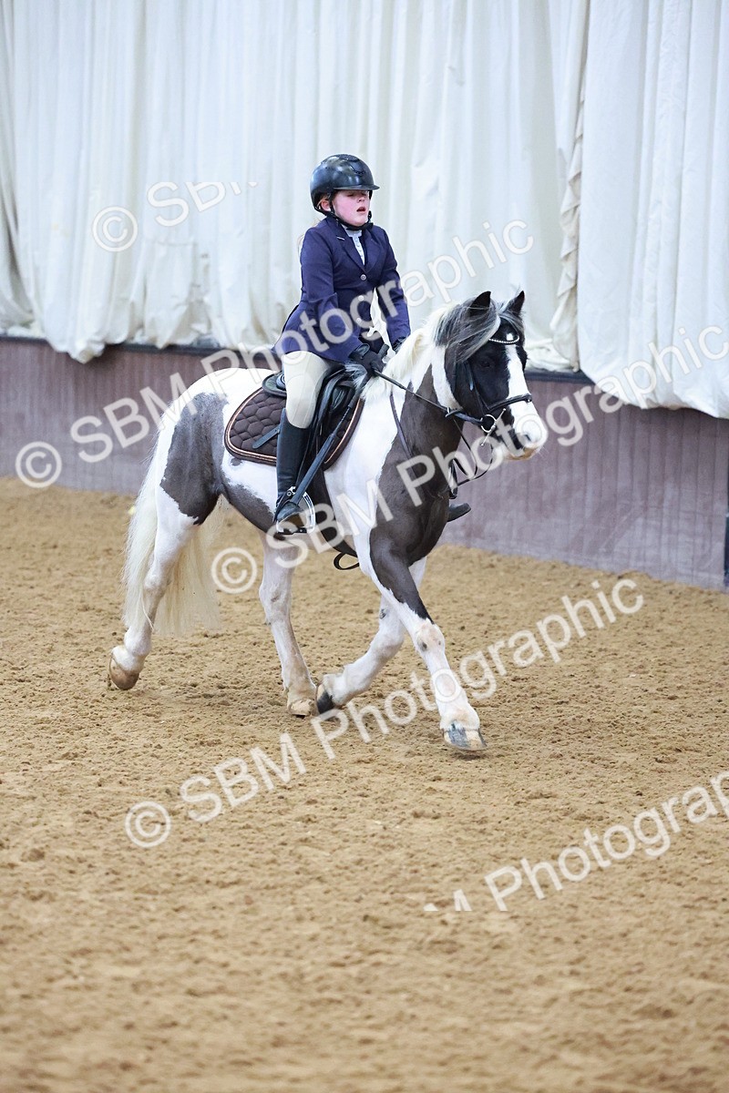 SBM_000358 - Class 19 - 50cm