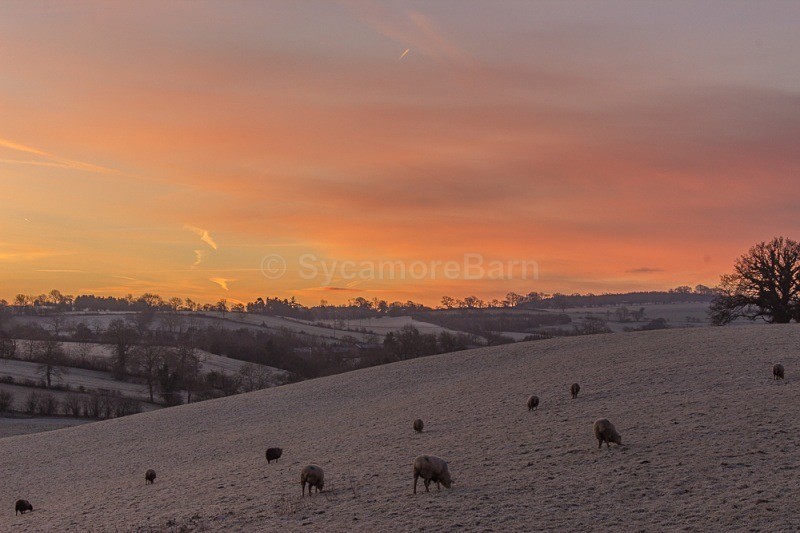 Winter Dawn In The Eden Valley - Dawn to Dusk