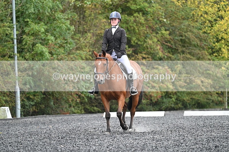 WJ7_3654 - Time 11:04 to 11:38