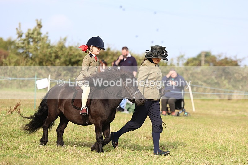 3E7A3687 - Class 2: Lead rein