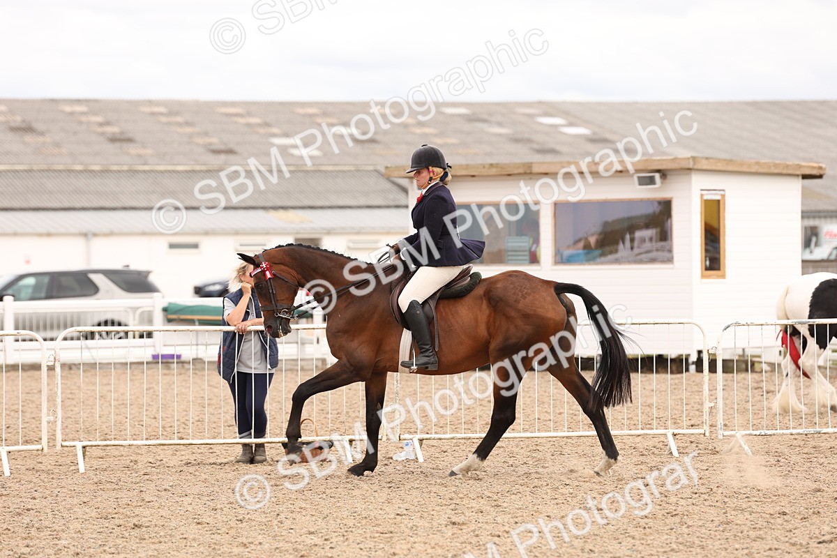 SBM_17337 - Class 214 - Ridden Hack Riding Horse