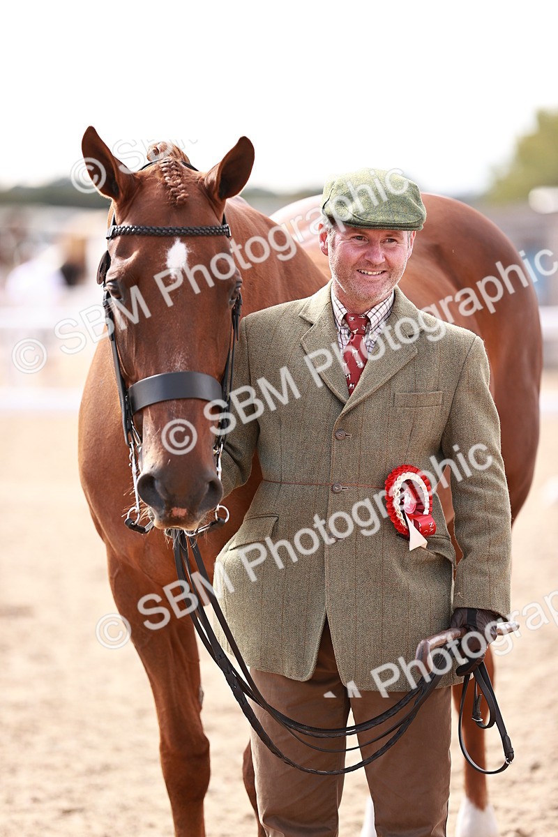 SBM_13371 - class 406 - IH Hunter