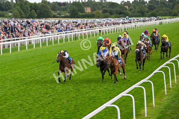 230824-Race 7-Treasure Time-0181 - Race 7 5.20pm Sky Bet Mile Handicap