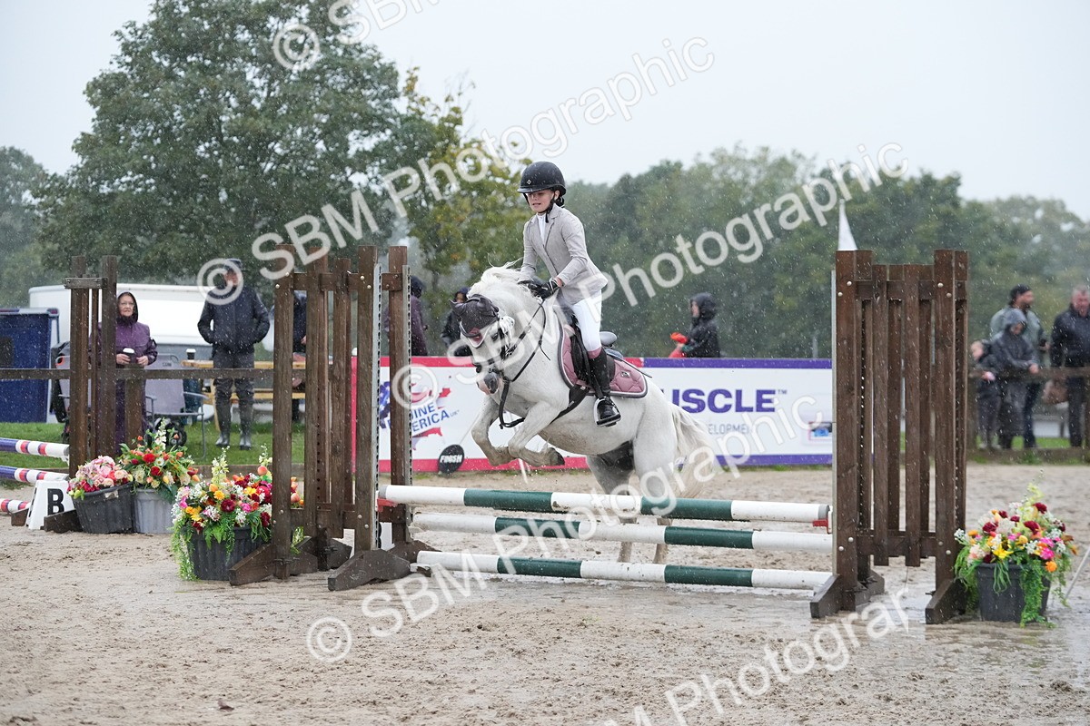 SBM_36128 - J5 - Junior Pony 50cm Championship