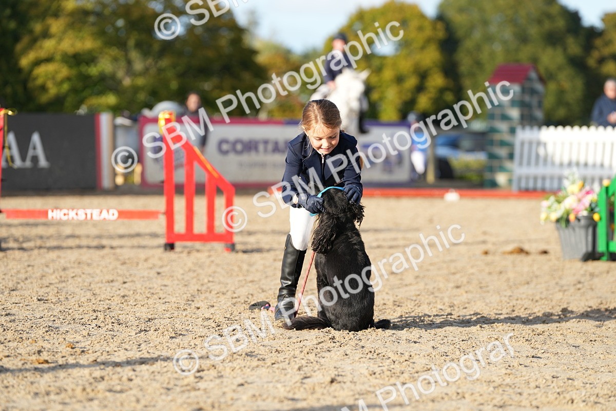 SBM_29388 - J44 - Horse & Hound Open 70cm