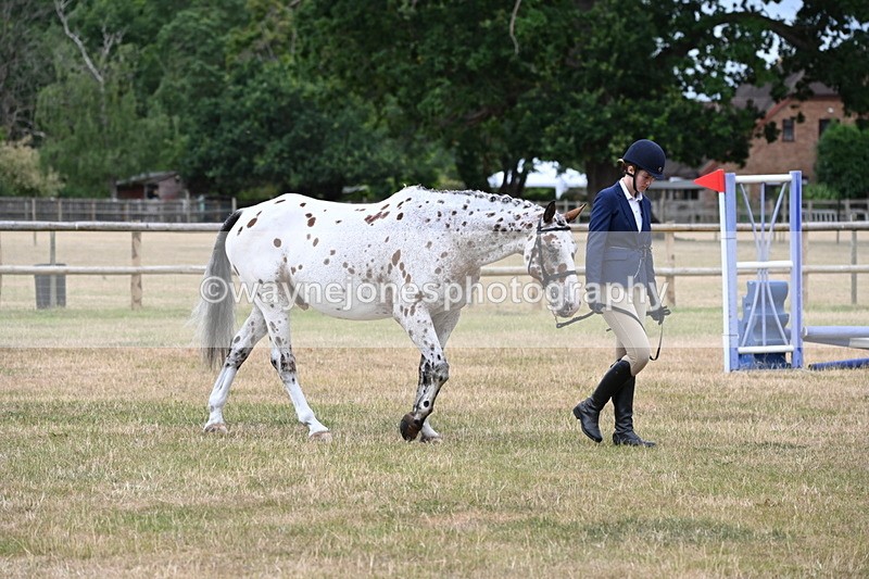 WJ6_4573 - Class 10 Coloured In-hand