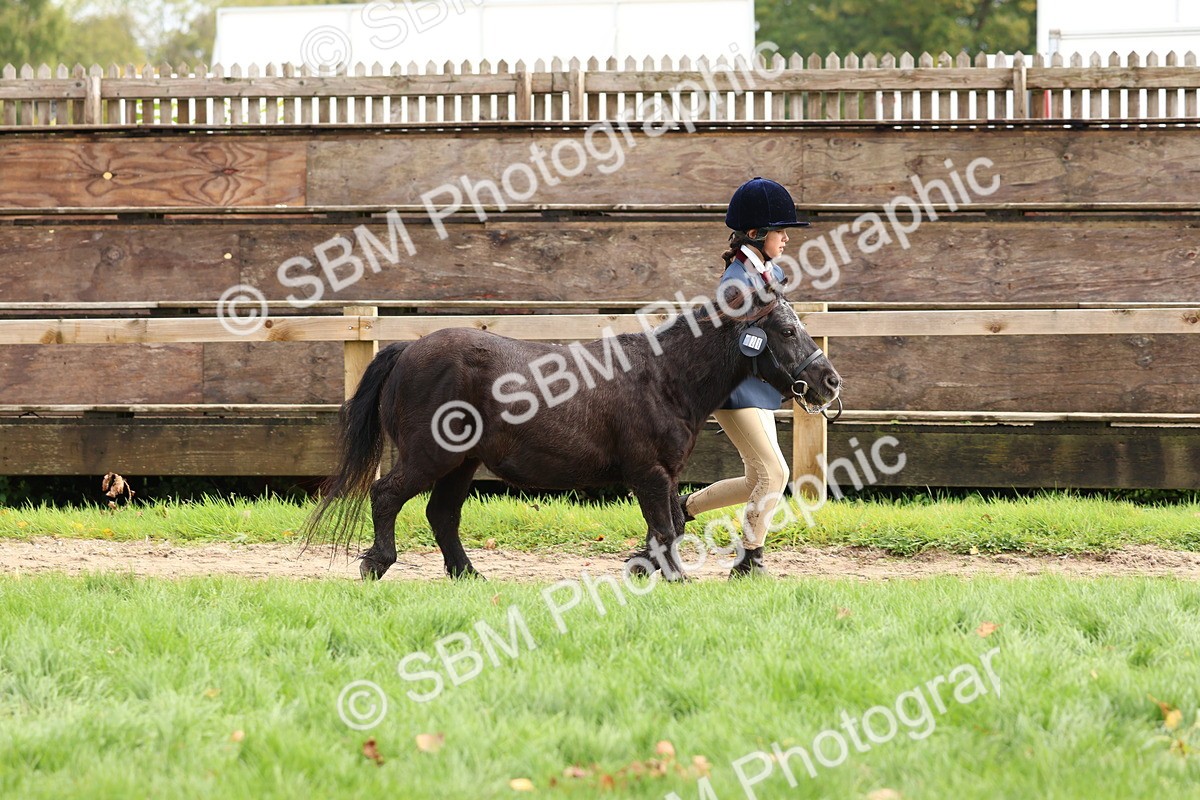 SBM_40724 - S25 -  Veteran In Hand