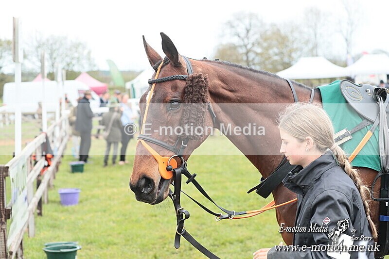 PtP 130425 21 - Edgecote Races 13/04/25