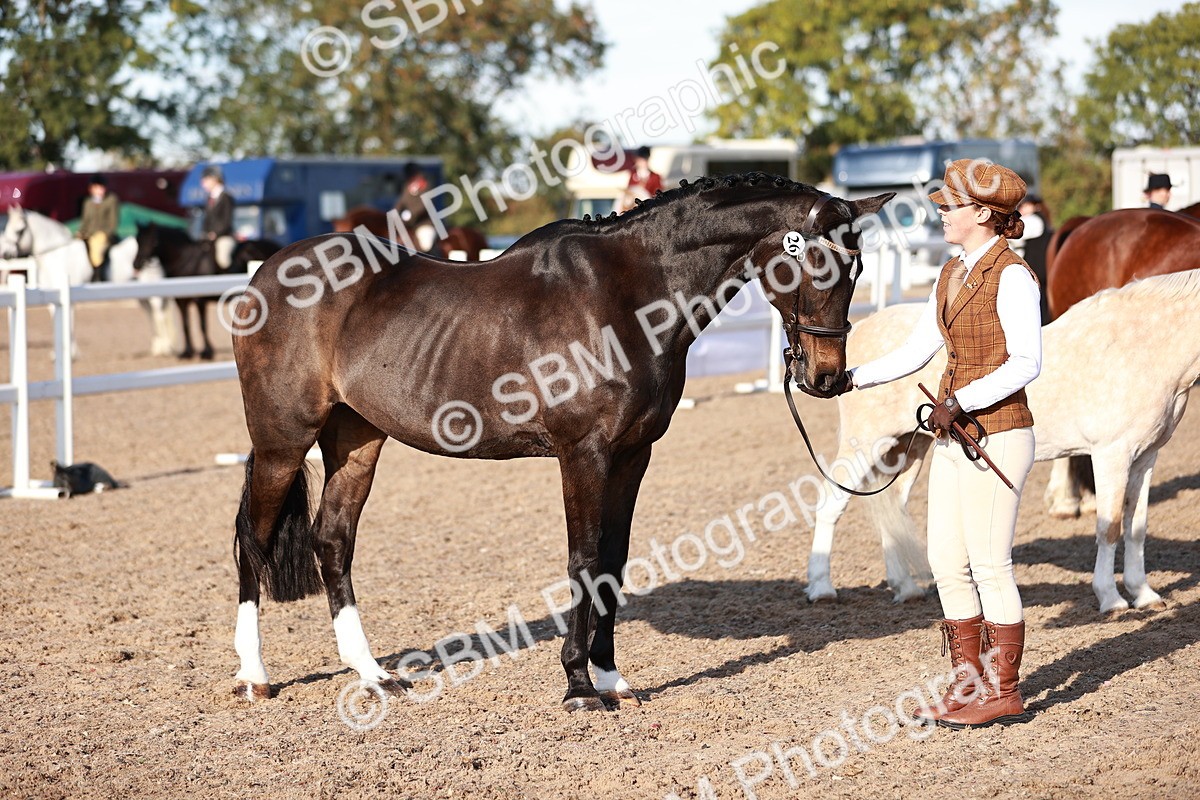 SBM_11398 - Class 402 - IH  Veteran pony