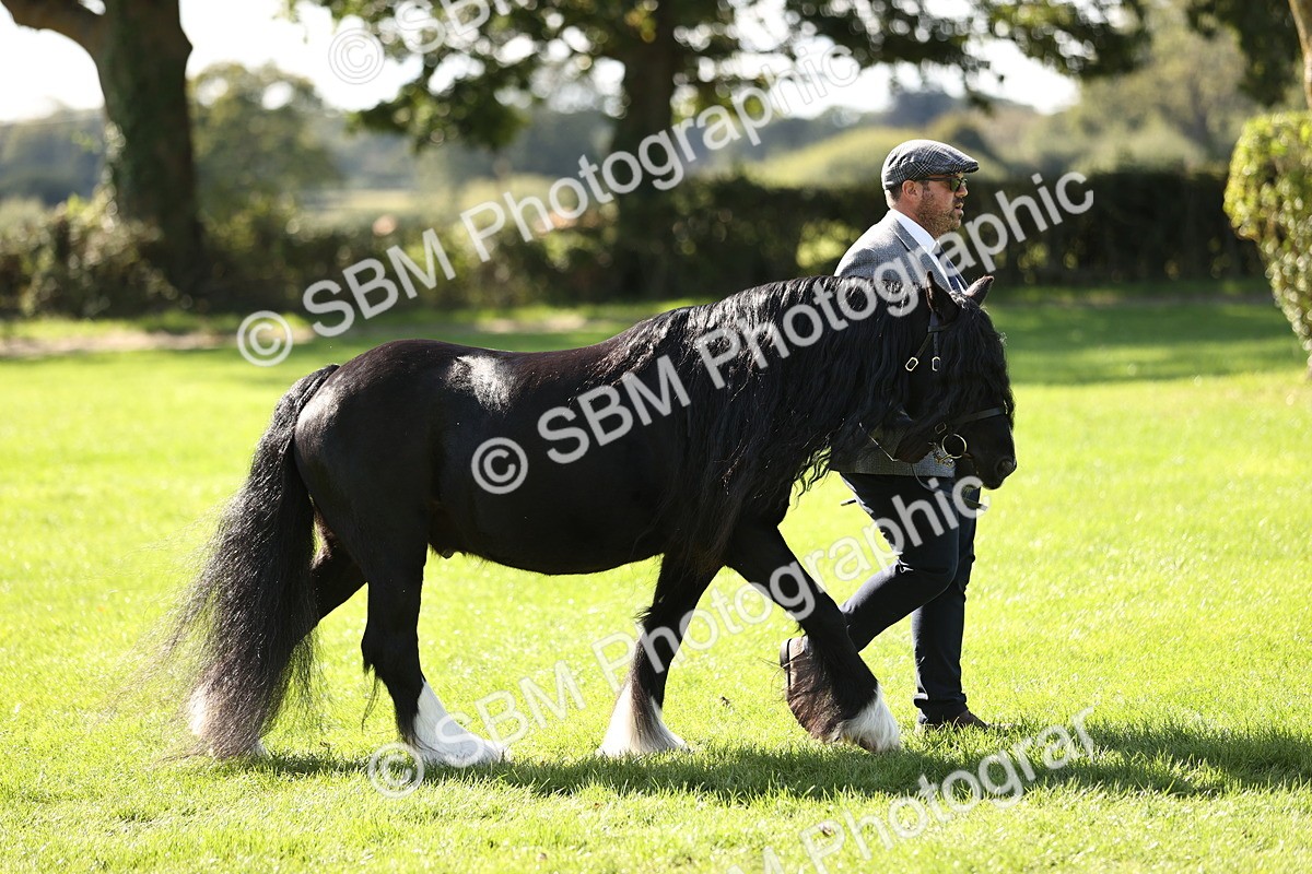 SBM_26114 - S5 - Novice & Newcomers In Hand
