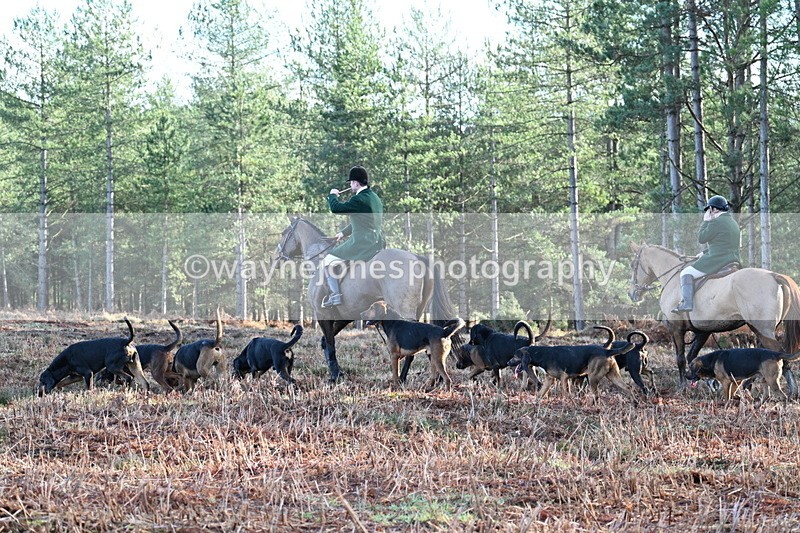 WJ7_7208 - Line 3 (no line 4 or 5)