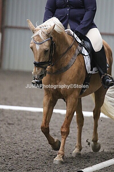 SIAL5530 - CAbin Dressage 5th july 2025