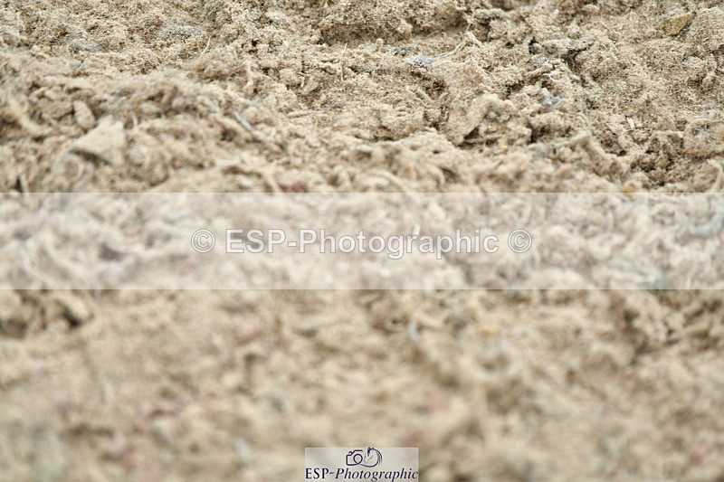 230721A-130340-06433 - Cls 14, 1 Star Bronze 1.10m