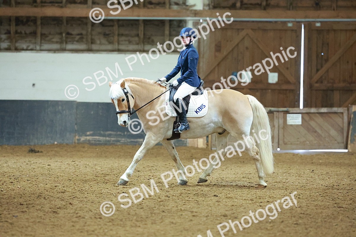 SBM_003908 - Novice 2