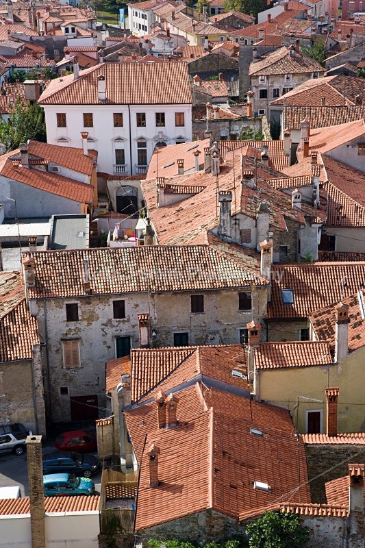 YR6M2846  (RM) - Worldwide