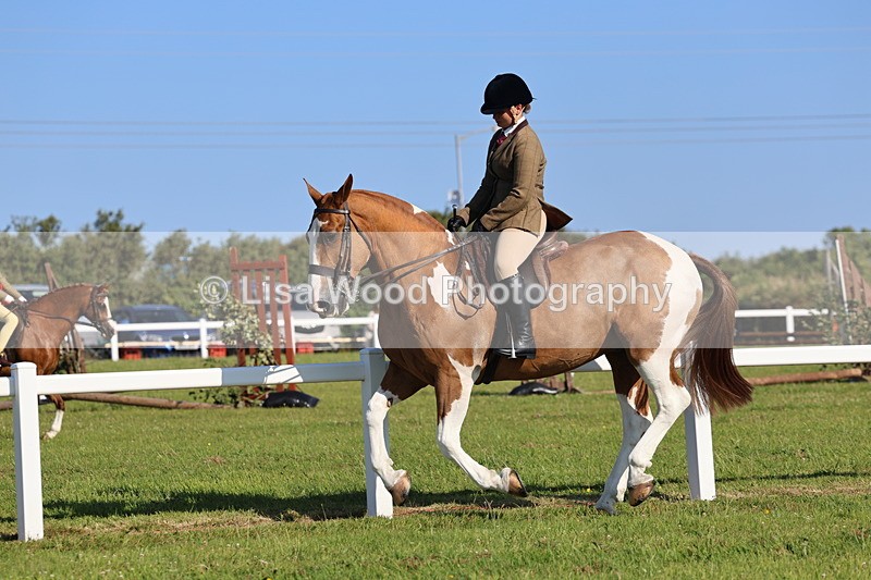 IMG_1430 - Class 29:  Ridden Native/Trad Coloured Horse
