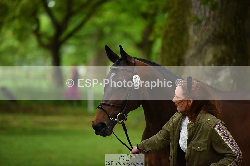 240522-170014-01317 - 271-WILD_ATLANTIC_WAY-Susie_Berry