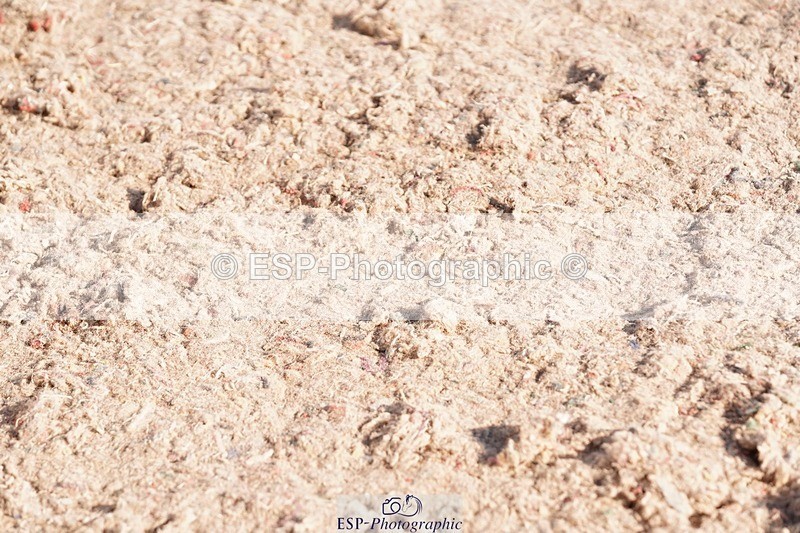 250510-083058-09547 - Cls 13 Snr Foxhunter