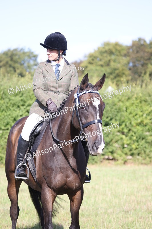 20260906-0398 - Class 14 - Ex Racehorse
