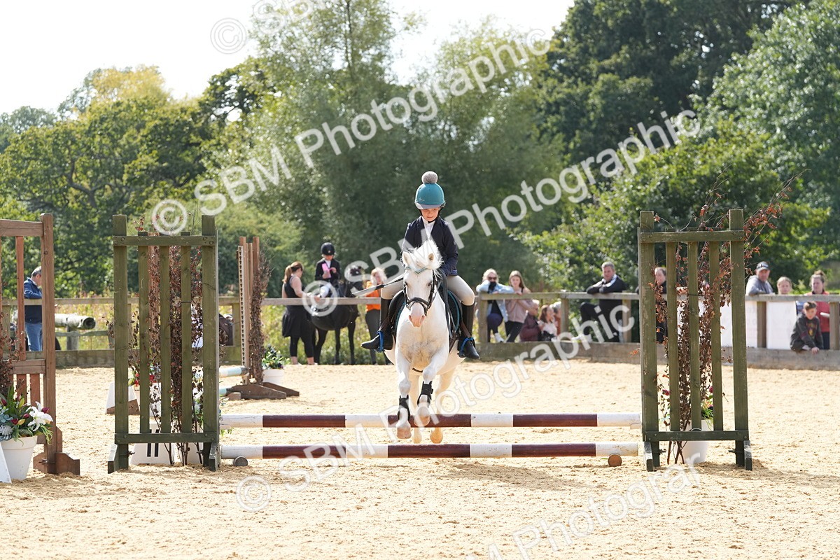 SBM_68445 - J3 - Mini Tour Junior Pony 40cm Championship