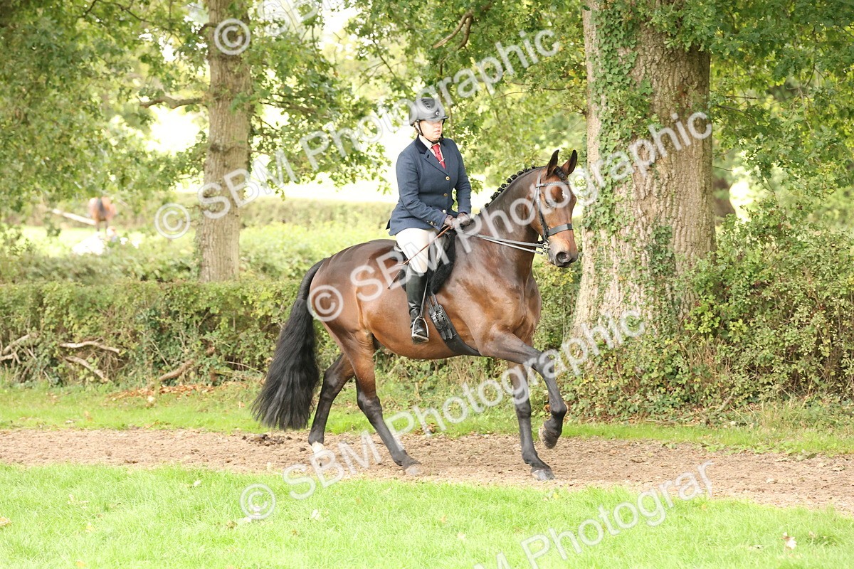 SBM_63006 - S64 - Foreign Breeds Ridden