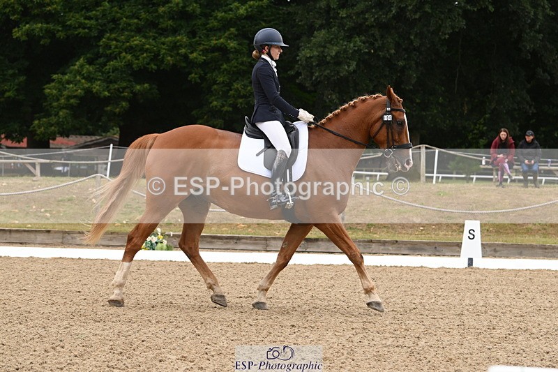 250720A-103142-09574 - 104-Molly.Northmore-Pennmoor.Liberation