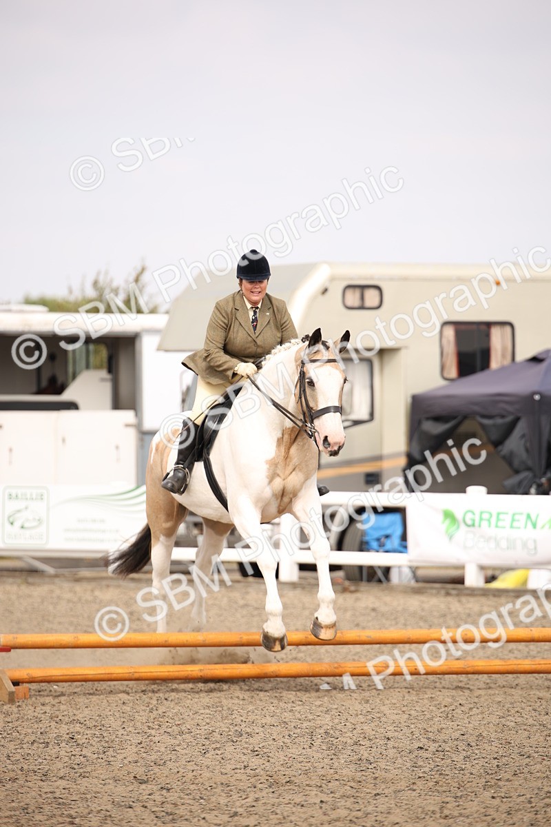 SBM_12919 - Class 406a - Working Veteran 50cm (15-19)