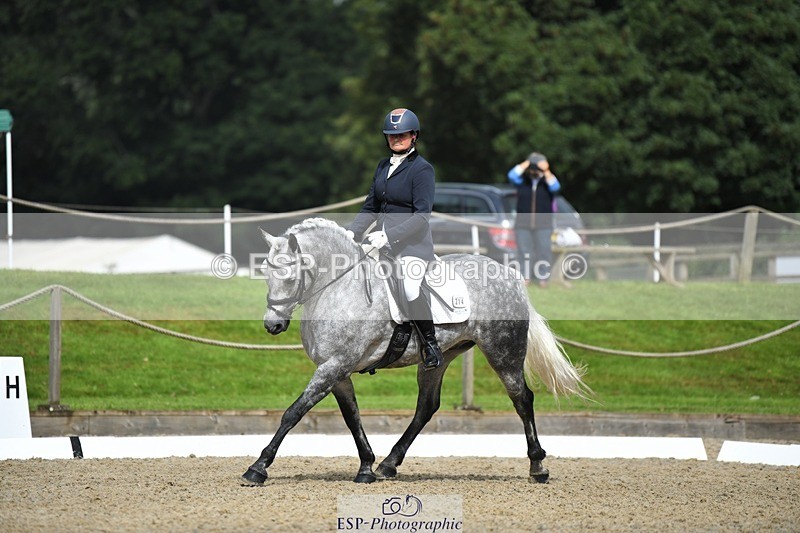 230812-103913-03425 - Cls 6 Novice Silver 10.30 to 11.55 break