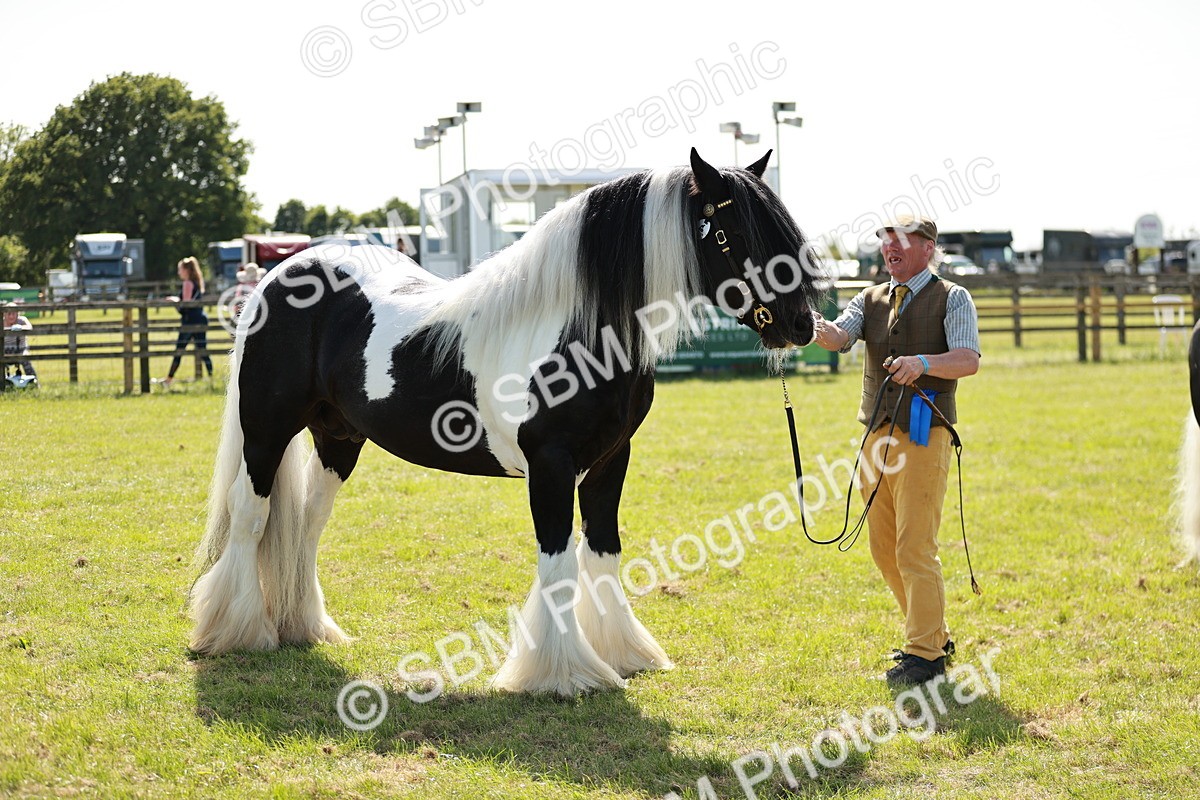 SBM_08897 - Class 63-65 - Traditional Gypsy Cobs In Hand & Ridden