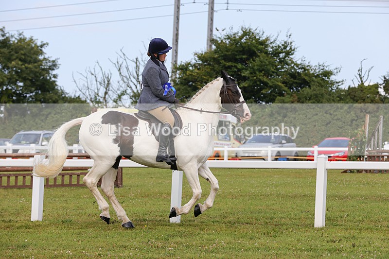 1X9A3099 - Class 26: Ridden Plaited Coloured Pony