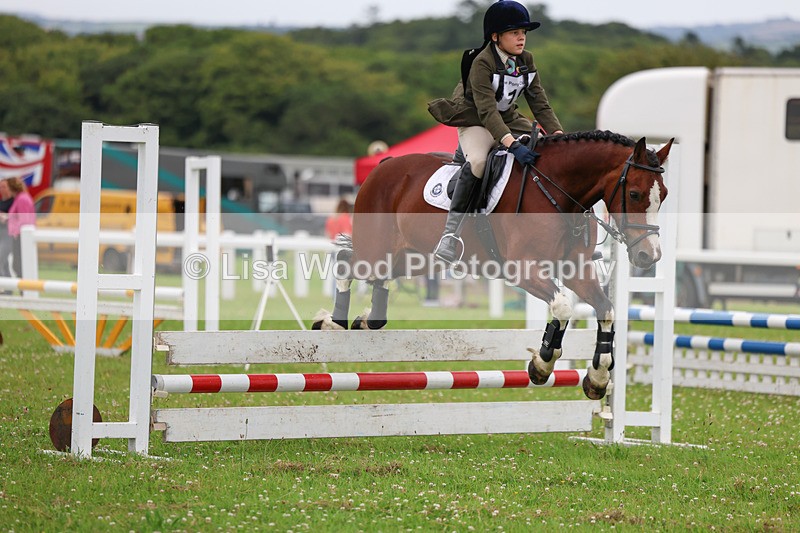 3E7A2965 - Class 1: Open 70cm (Not all Competitors)