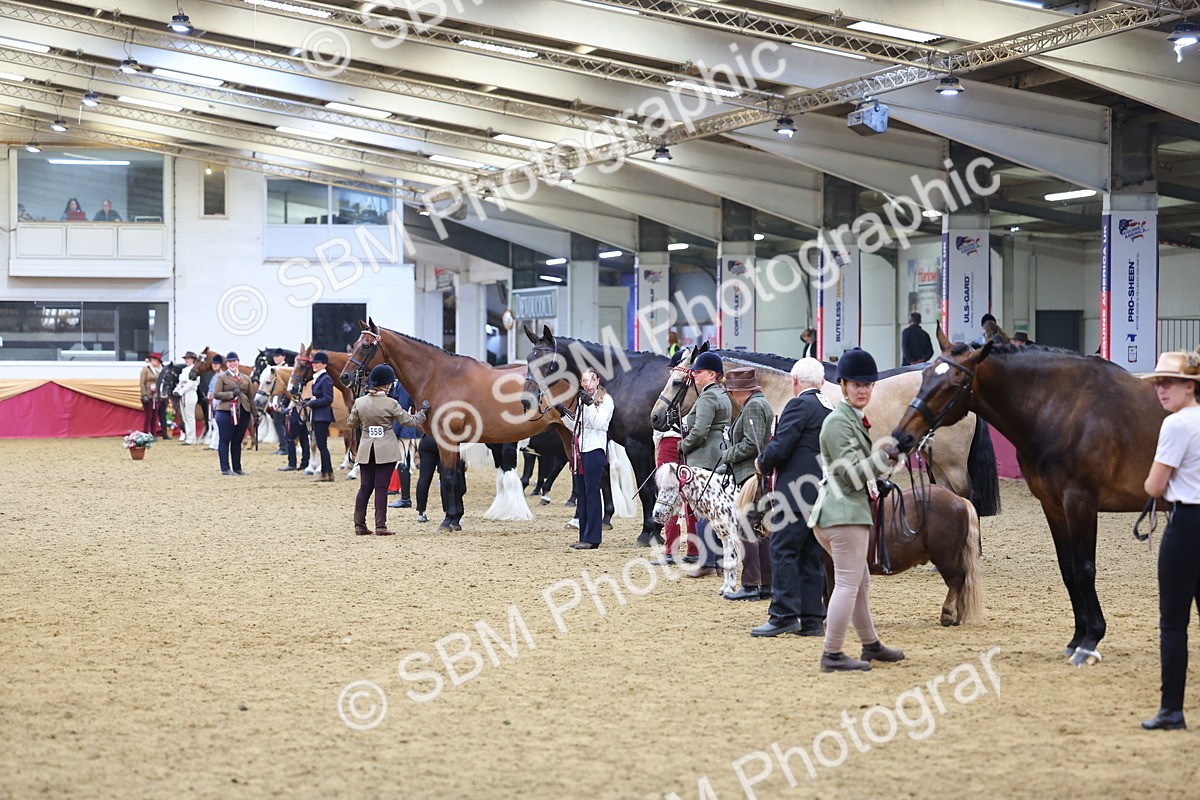 SBM_21185 - Class 902 - Supreme Final IH Veteran