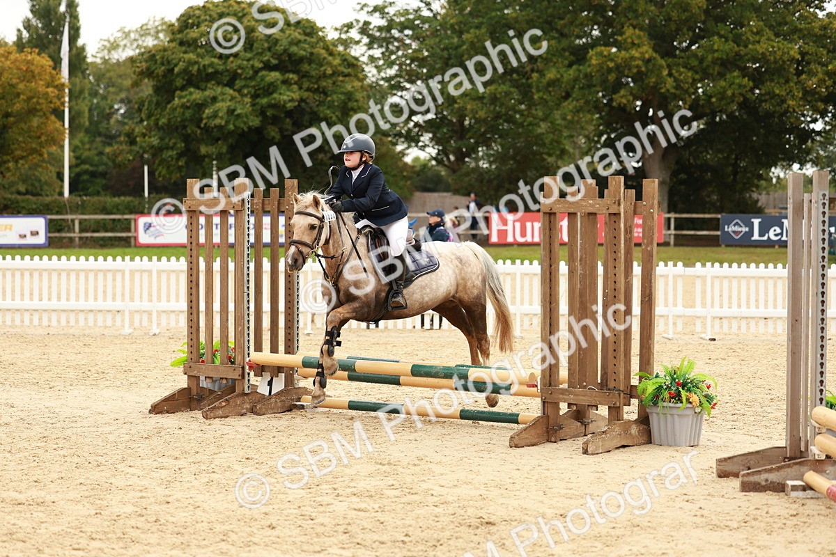 SBM_58005 - J11 - Junior Pony 50cm Championship