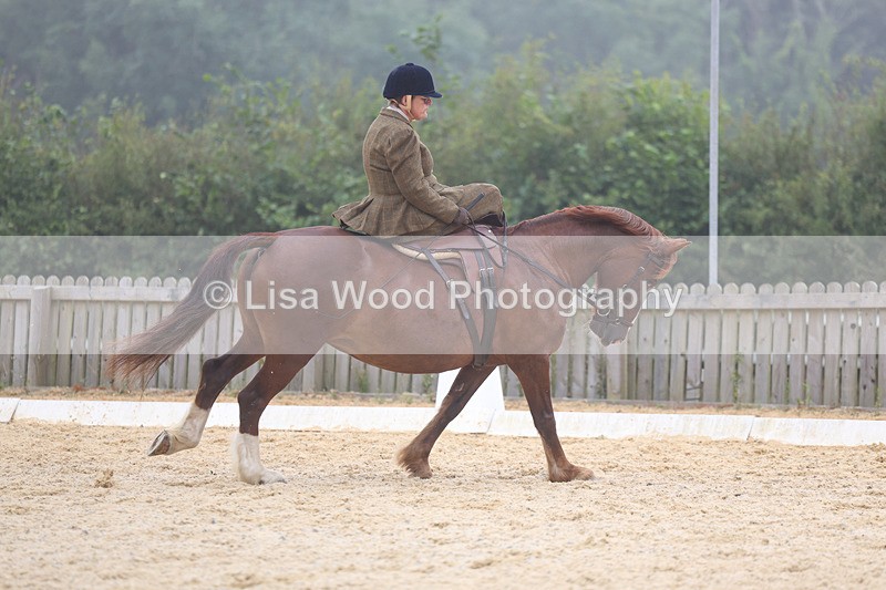 3E7A6874 - Class 5: Prelim to Music