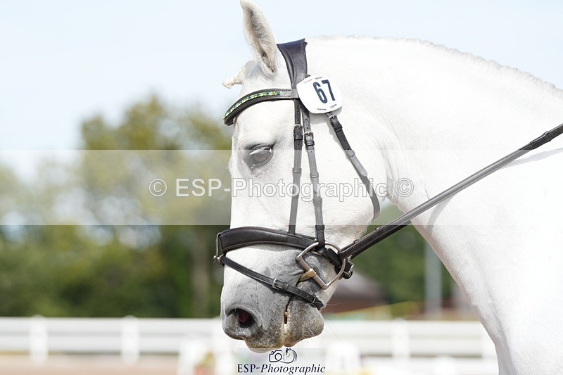 250906-135440-03793 - 067-Laura.PercyConobola.Cascade