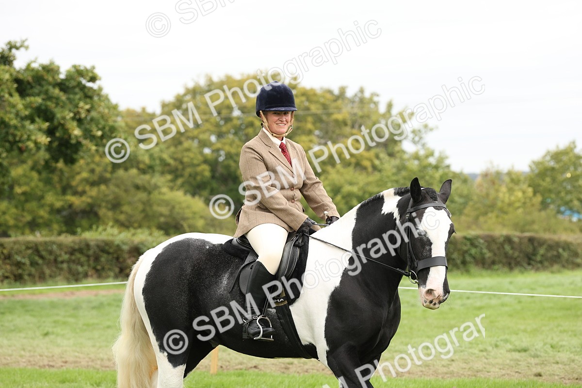 SBM_67197 - S67 - Piebald & Skewbald Horse Ridden