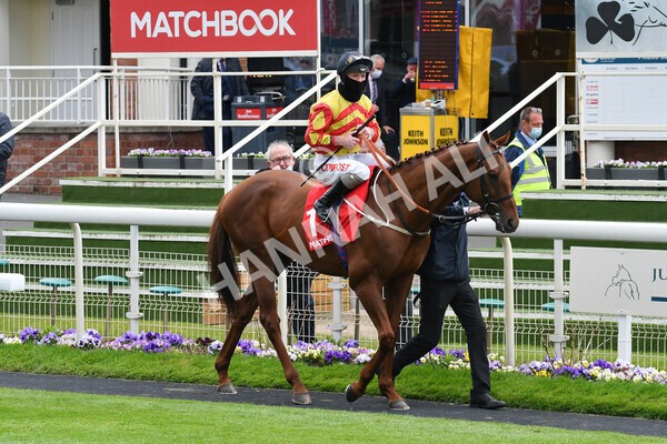 yr14052021r4-5 - Race 4 3.10pm The Matchbook Yorkshire Cup
