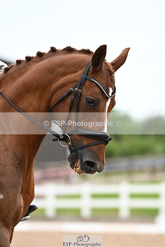 240623A-175340-20664 - Cls 61 BD FEI Inter I