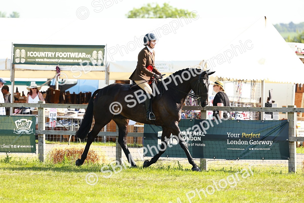 SBM_11885 - Class 66-69 - RIHS Ridden Hunters Inc Small Hunter