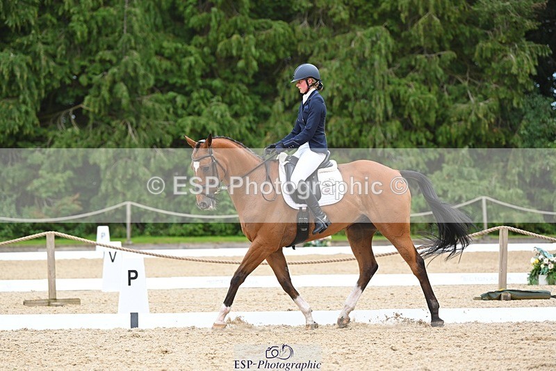 230813-132958-07588 - Cls 13 Medium Bronze 13.15 to End