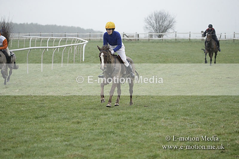 PtP 150320 0077 - New Forest Point-to-Point Larkhill 15/03/20