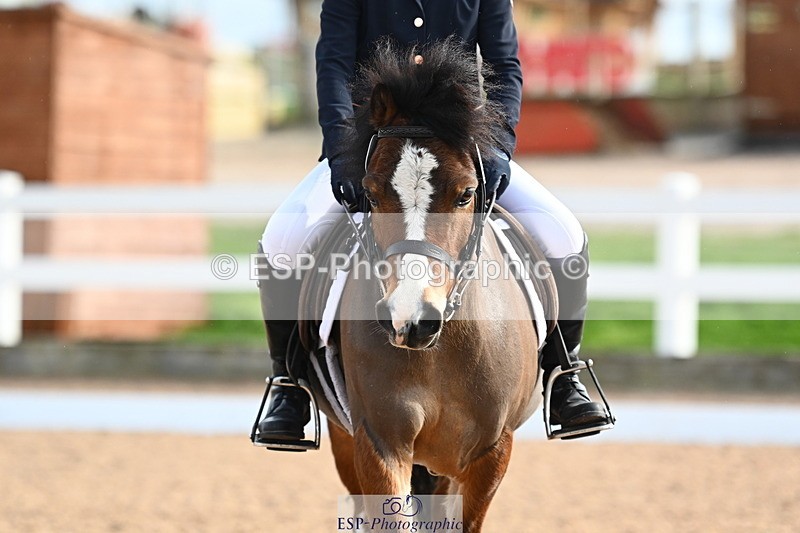 240323A-094411-01283 - DR Intro B