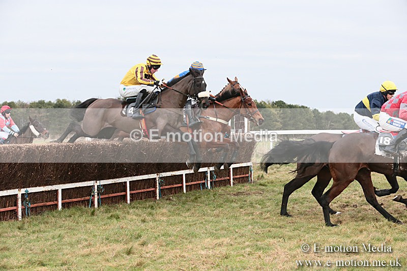 PtP 060119 262 - Larkhill Racing Club - Point-to-Point- 06/01/2019